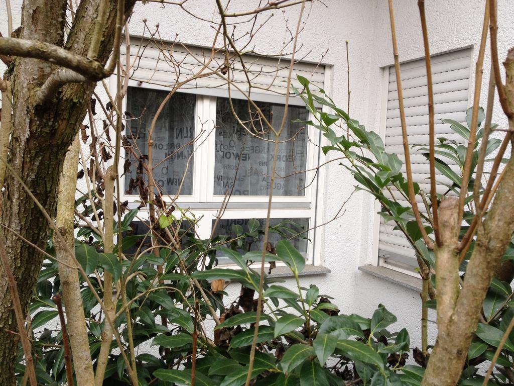 Gaestezimmer Bei Ingrid Tübingen Exteriör bild